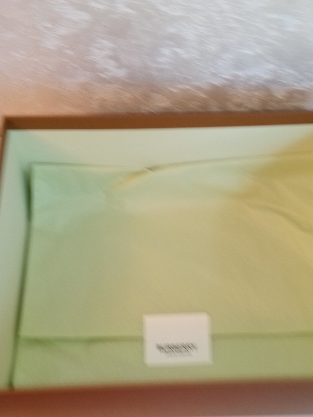 Burberry Tan Brown Branded Box With Shopping Bag - Picture 2 of 3